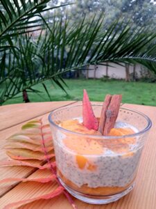 pudding chia kaki coach nutrition